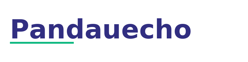Pandauecho logo